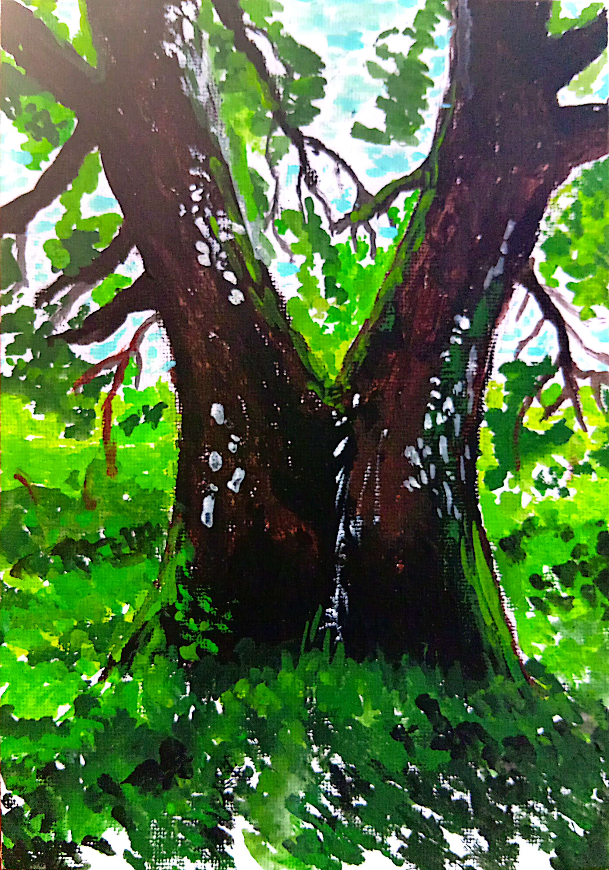 Magic Tree